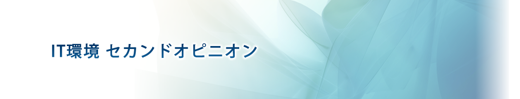 IT環境 セカンドオピニオン